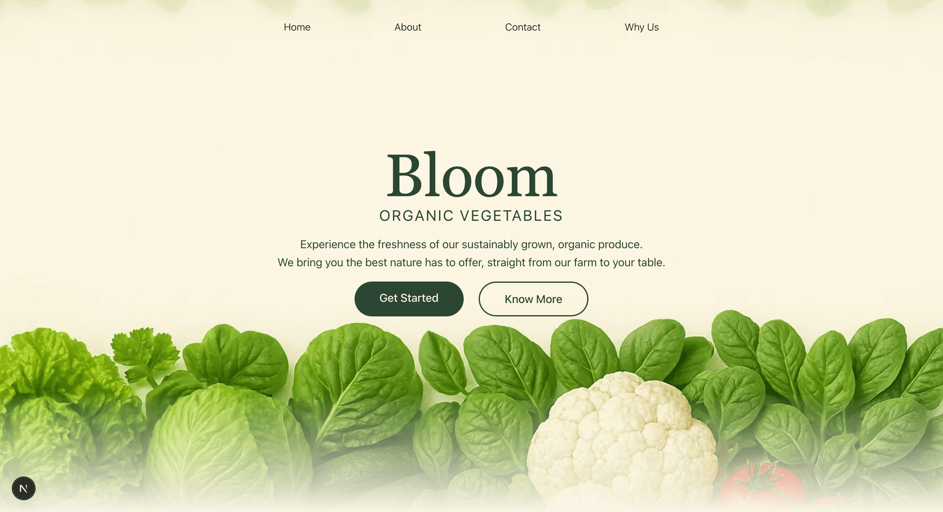 Bloom